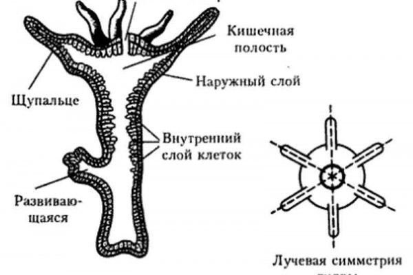 Кракен вход магазин