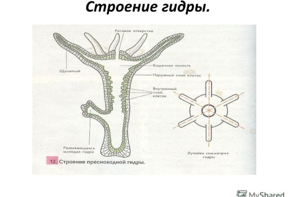 Как вывести деньги с кракена маркетплейс